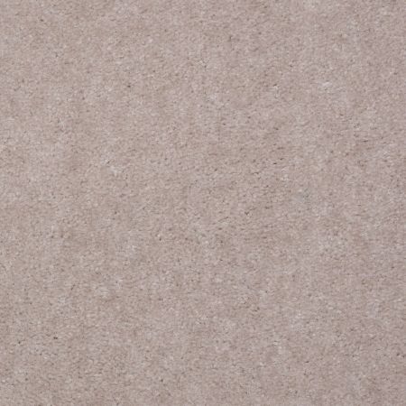 Shaw Floors Value Collections Hawkeye II Net Fossil