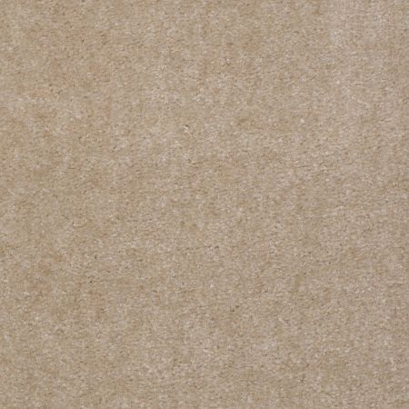 Shaw Floors Value Collections Hawkeye II Net Old Leather