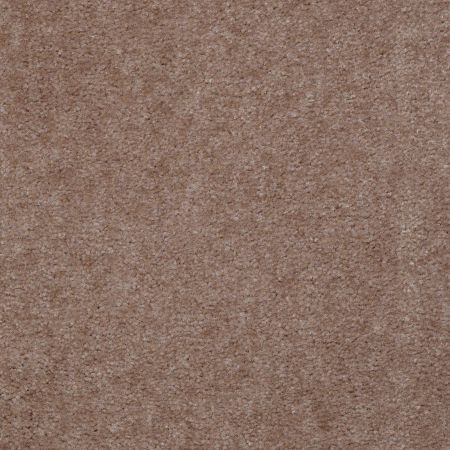 Shaw Floors Value Collections Hawkeye II Net Warm Mink