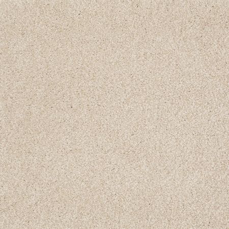 Shaw Floors Anso Open II (s) Sandy Shore