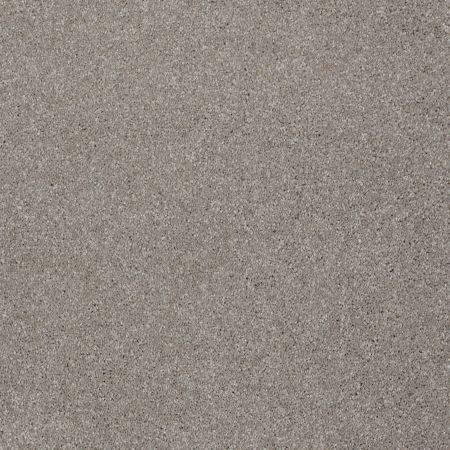 Shaw Floors Anso Open II (s) Radiance