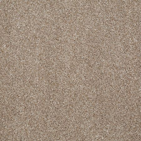 Shaw Floors Anso Open II (t) Mole Hill