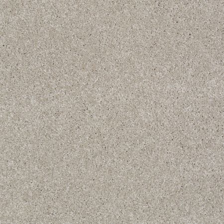 Shaw Floors Anso Open III (s) Greige