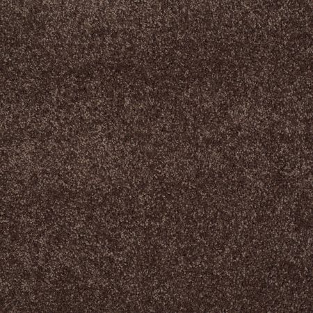 Shaw Floors Anso Open III (s) Maple