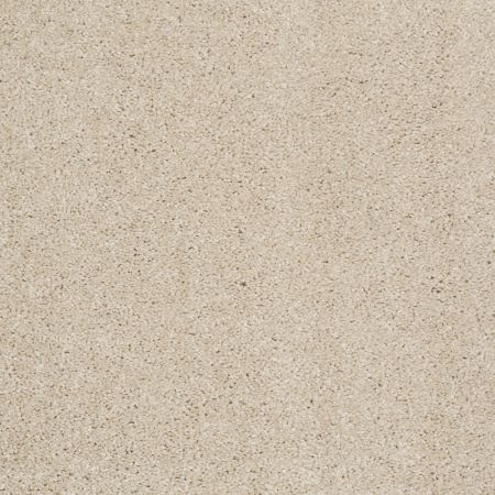 Shaw Floors Value Collections Xvn04 Sandy Shore