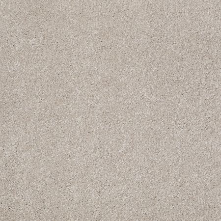 Shaw Floors Value Collections Xvn04 Greige