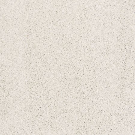 Shaw Floors Value Collections Xvn05 (t) Natural Cotton