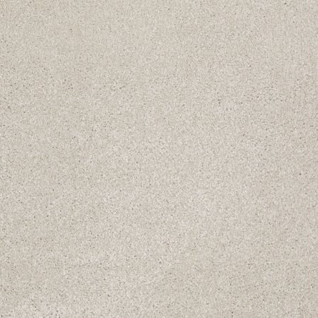 Shaw Floors Value Collections Xvn06 (s) Mist