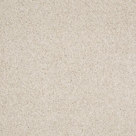 Shaw Floors Value Collections Xvn06 (t) Vanilla Shake