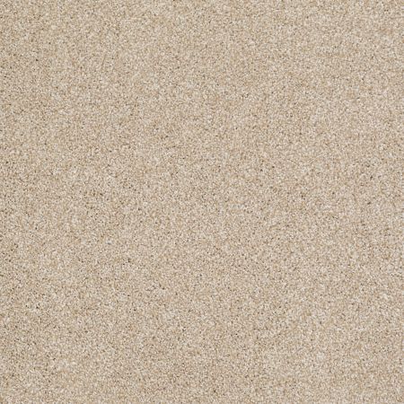 Shaw Floors Value Collections Xvn06 (t) Rich Butter