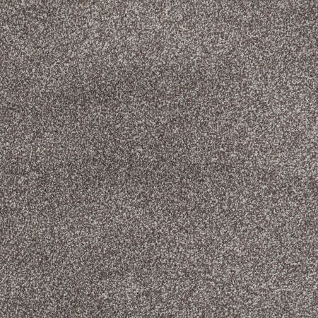 Shaw Floors Value Collections Xvn06 (t) Bear Mountain