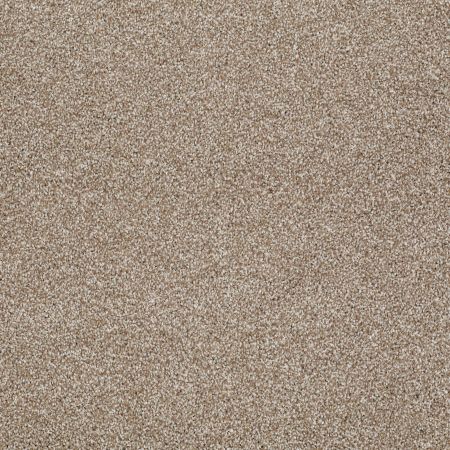 Shaw Floors Value Collections Xvn06 (t) Mole Hill