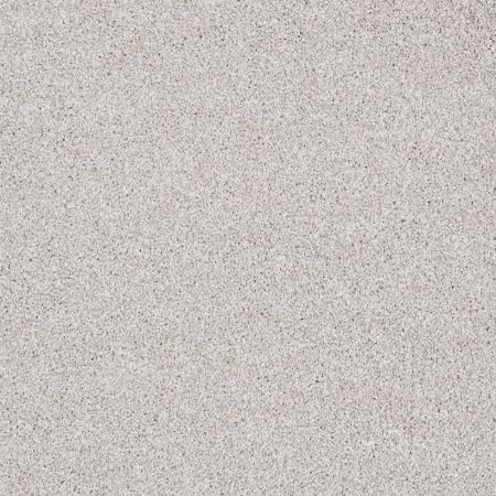 Shaw Floors Value Collections Xvn07 (t) Cement Mix