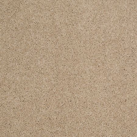 Shaw Floors Value Collections Origins Net Dunes