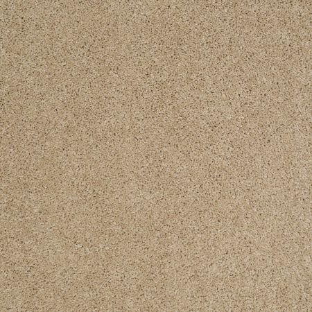 Shaw Floors Value Collections Origins Net Field Stone