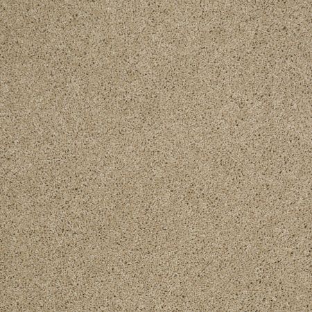 Shaw Floors Value Collections Origins Net Wool Skein