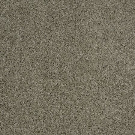 Shaw Floors Value Collections Origins Net Silver Sage