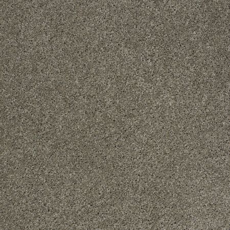 Shaw Floors Value Collections Origins Net Pewter