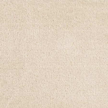 Shaw Floors Value Collections Optimum Net Wool Skin