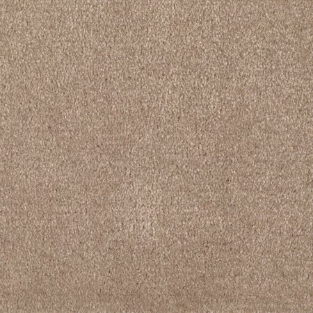 Shaw Floors Value Collections Optimum Net Thornwood