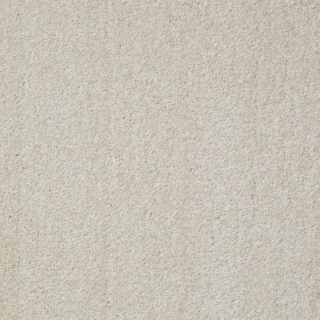 Shaw Floors Value Collections Jealousy Net Plaster