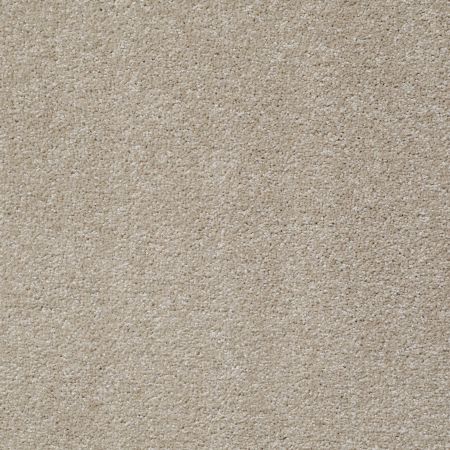 Shaw Floors Value Collections Jealousy Net Warm Glow