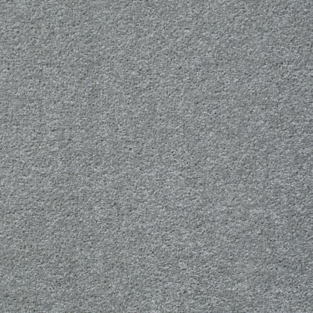 Shaw Floors Value Collections Jealousy Net Sterling