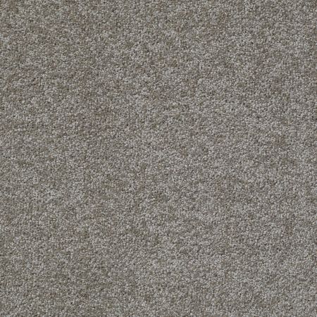 Shaw Floors Value Collections Jealousy Net Barn Wood