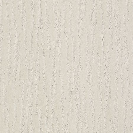 Shaw Floors Value Collections Chambers Bay Net Canvas