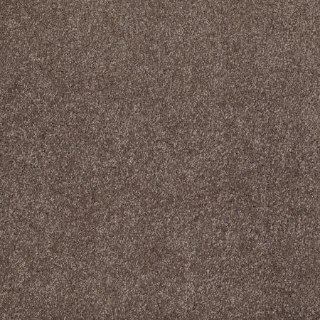 Shaw Floors Value Collections Look Forward Net Rustic Taupe