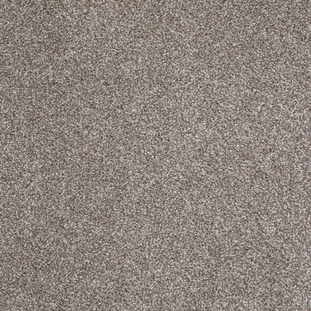 Shaw Floors Value Collections Look Forward Net Moccasin