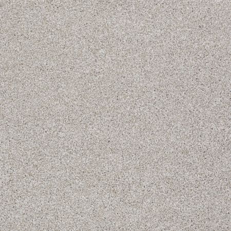 Shaw Floors Value Collections Majority Rules Net Antique Silk