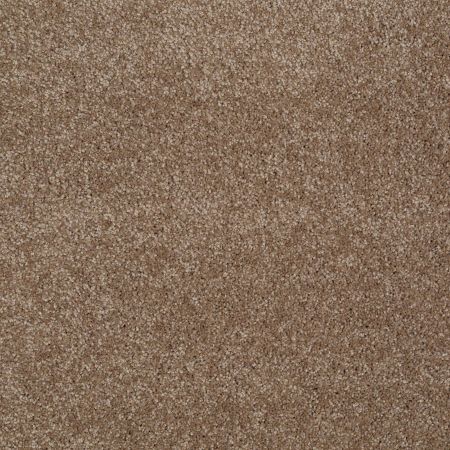 Shaw Floors Value Collections Majority Rules Net Acorn