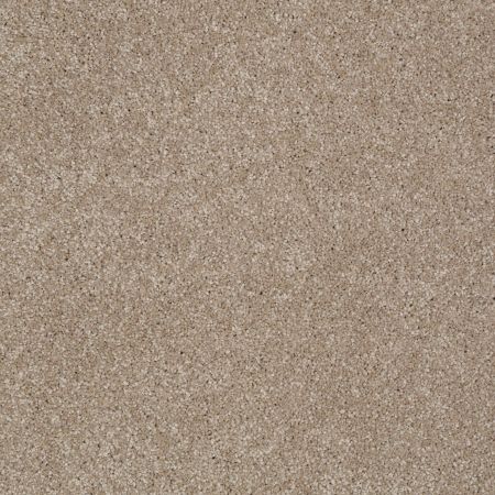 Shaw Floors Value Collections Majority Rules Net Havana