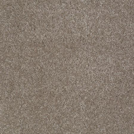 Shaw Floors Value Collections Majority Rules Net Ashen