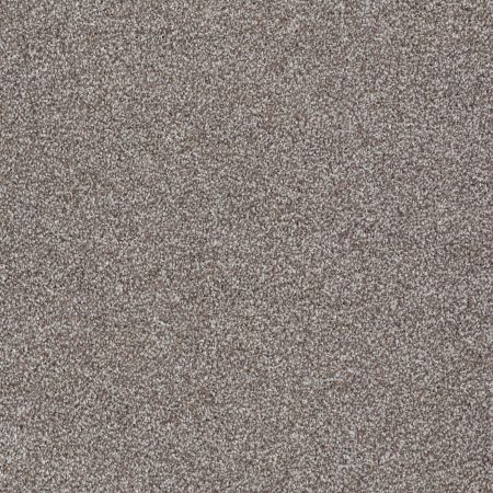 Shaw Floors Value Collections Majority Rules Net Moccasin