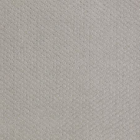 Shaw Floors Value Collections Genesis Net Sea Salt