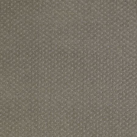 Shaw Floors Value Collections Genesis Net Pewter