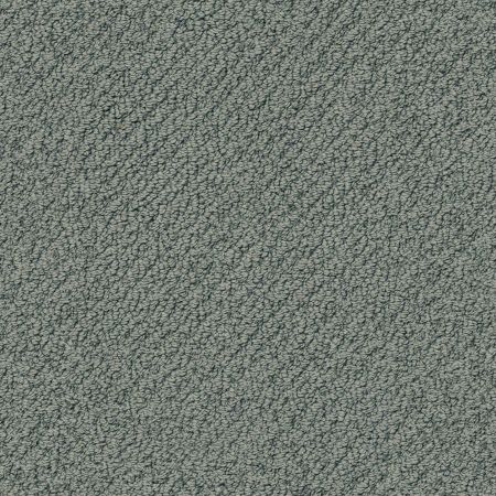 Shaw Floors Value Collections Truly Relaxed Loop Net Atmosphere