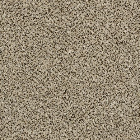 Shaw Floors Simply The Best Because We Can III 12' Ivory Coast