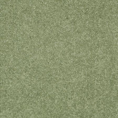 Shaw Floors Value Collections Dyersburg Classic 15' Net Going Green