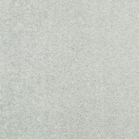 Shaw Floors Value Collections Dyersburg Classic 15' Net Morning Fog