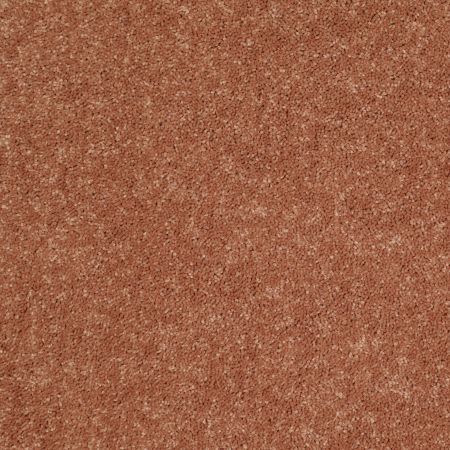 Shaw Floors Value Collections Dyersburg Classic 15' Net Sunburst