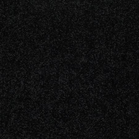Shaw Floors Value Collections Dyersburg Classic 15' Net Coal Black