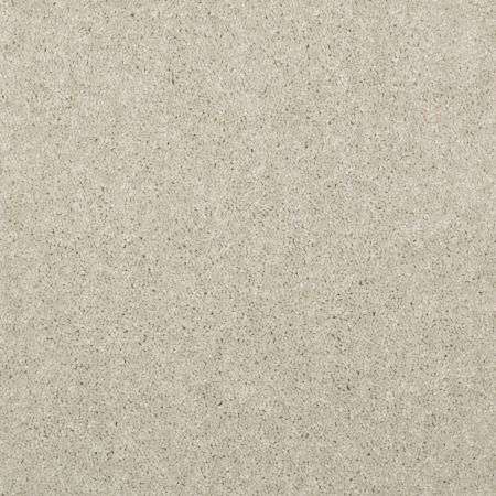 Shaw Floors Value Collections Dyersburg Classic 15' Net Dove