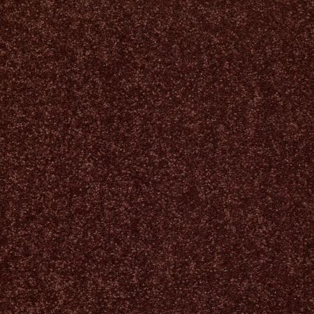 Shaw Floors Value Collections Dyersburg Classic 15' Net Coffee