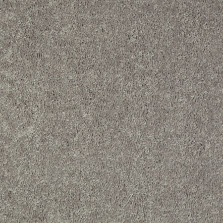 Shaw Floors Value Collections Briceville Classic 12' Net Ink Spot