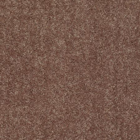 Shaw Floors Value Collections Briceville Classic 12' Net Landslide