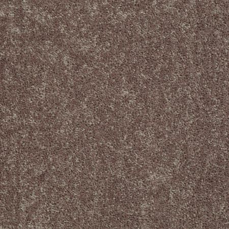 Shaw Floors Value Collections Briceville Classic 12' Net Shale