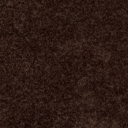 Shaw Floors Value Collections Briceville Classic 12' Net Walnut